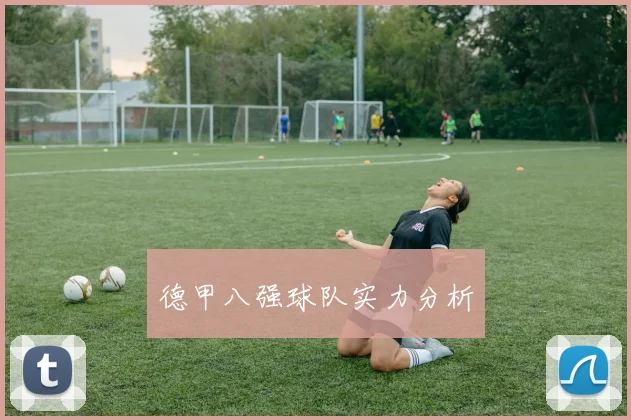 德甲八强球队实力分析