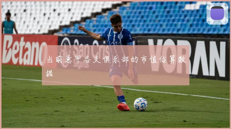 当前意甲各支俱乐部的市值估算数据