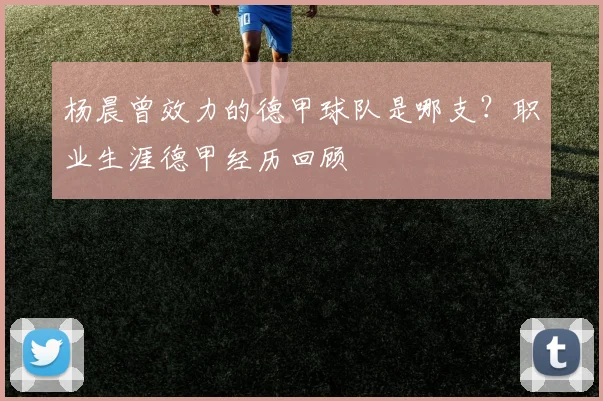 杨晨曾效力的德甲球队是哪支？职业生涯德甲经历回顾